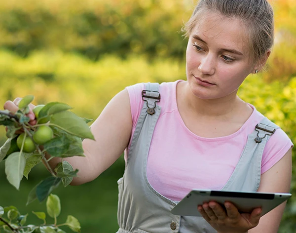 Dziewczyna sprawdza roślinę